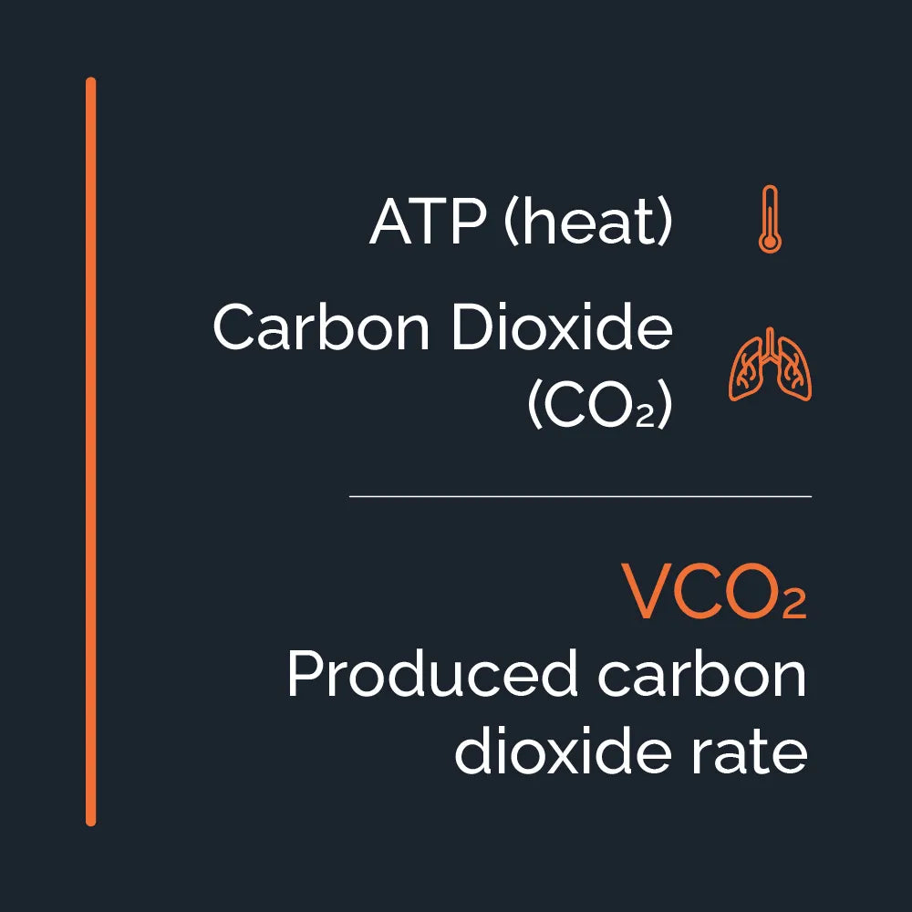 Illustration of ATP (heat), Carbon Dioxide (CO2) and Produced Carbon Dioxide Rate (VCO2)