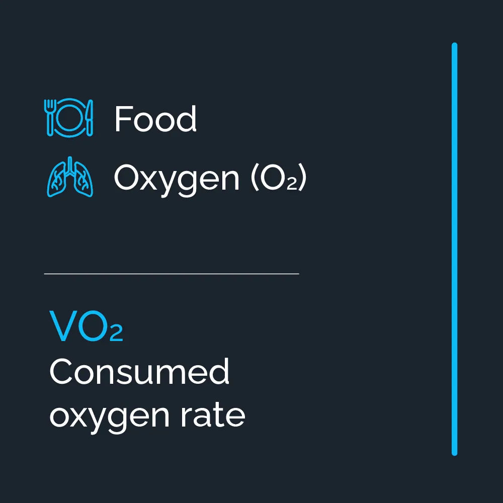 Illustration of Food, Oxygen (O2) and Consumed Oxygen rate (VO2)