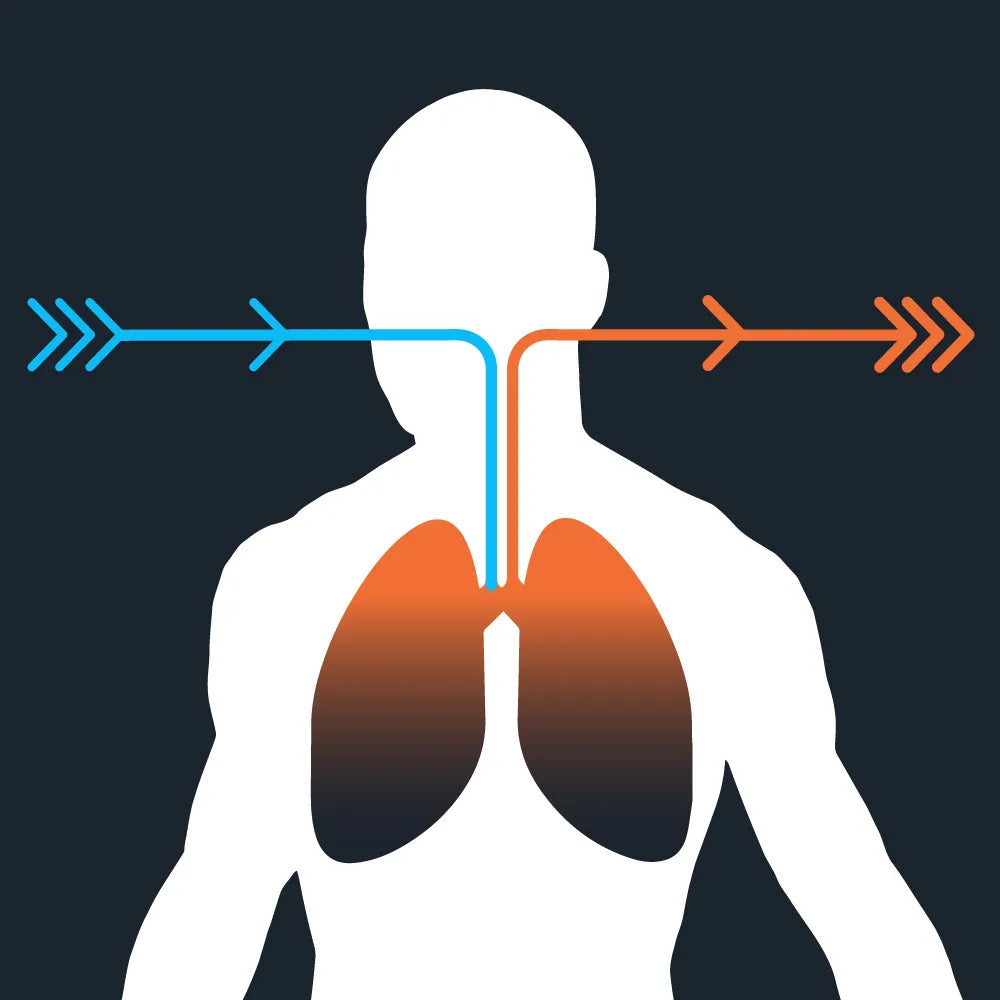Illustration of a person consuming food and oxygen, and producing ATP and CO2